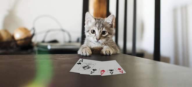 Съемка при плохом освещении