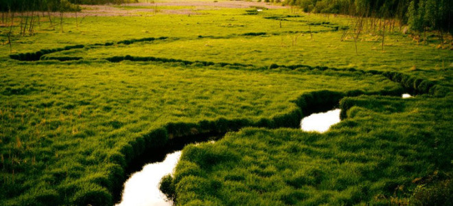 Направление взгляда в портретной фотографии