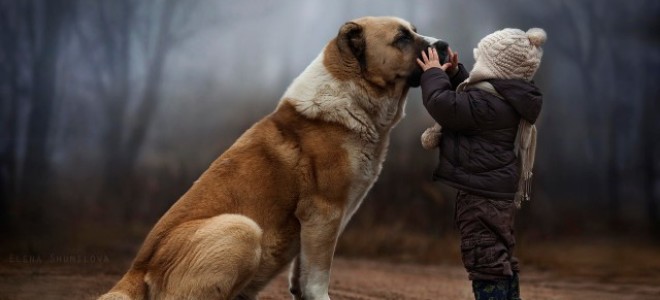 Детская фотосъемка: 6 советов для создания выразительных снимков