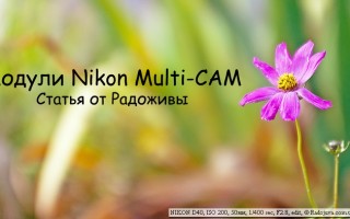 Nikon и система фокусировки