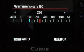 Что такое ISO в фотоаппарате